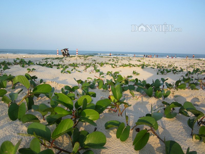 Biển Cửa Việt “hút hồn” du khách